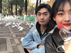 -昆明动物园