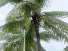 -三亚南山文化旅游区