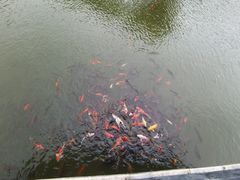 -花洲书院