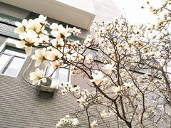 -北京协和医院(东单院区)
