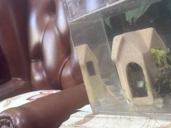 -南京医科大学友谊整形外科医院