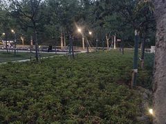 -新江湾城公园