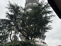 -迎江寺