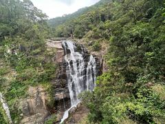 -海南热带雨林国家公园吊罗山景区
