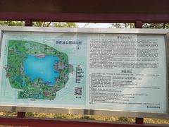 -莲花池公园