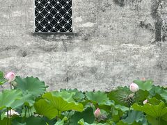 -兰亭风景区