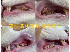 -悠尼宠物·独立低压伊珊娜洗护·美容·寄养(兰谷路店)