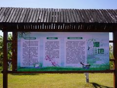 -芒洲湿地公园