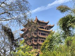 -黄鹤楼公园(黄鹤楼)