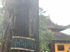 -西园戒幢律寺