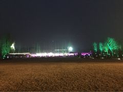 -秀丽东方
