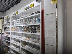 -翰皇直营洗衣洗鞋(望京鹿港店)