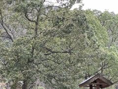 -陶祖圣境风景区