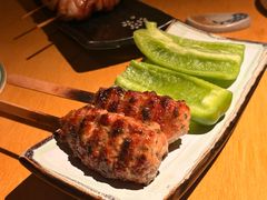 鸡肉丸-TINY