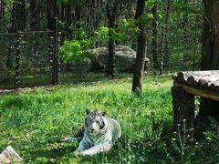 -西安秦岭野生动物园
