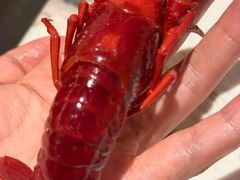 -王红军龙虾(新民路店)