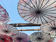 -呀路古热带植物园