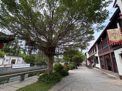 -南沙蒲洲花园