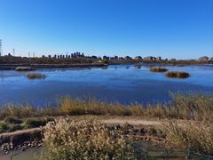 -天津东丽湖风景区