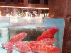 -阿伟海鲜楼·福建菜(延寿店)