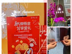 -友谊新天地广场(金街店)