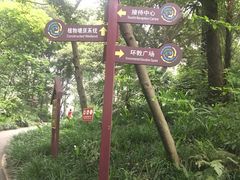 -成都市活水公园
