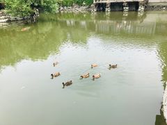 -水绘园
