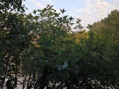 -故乡缘·香格里拉山庄(冷竹路店)