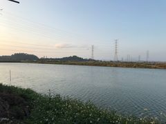 -崖口红树林海鲜餐厅