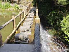 -王顺山国家森林公园