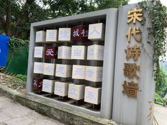 -南山植物园