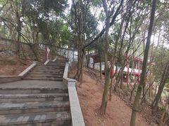 -老君山