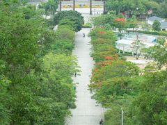 -红花山公园