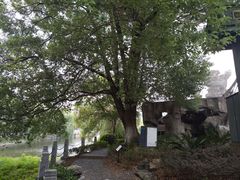 -孺子亭公园