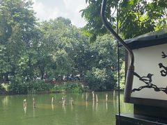 -侨美·唐荔园·40年地道粤菜