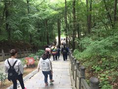 -洛阳白云山景区