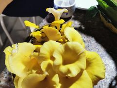 -仙蘑洞