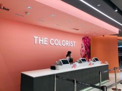 -THE COLORIST调色师