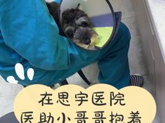 -思宇宠物医院