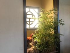 -洞庭土菜馆(天河北总店)