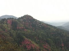 -木兰云雾山