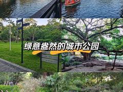 -晓港公园