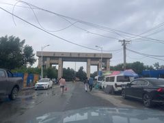 -东北农业大学
