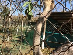 -草根堂农场