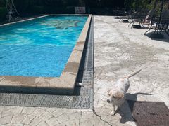 -汪说喵讲宠物乐园宠物酒店(红星美凯龙店)