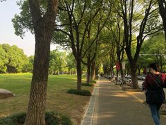 -华东政法大学(松江校区)