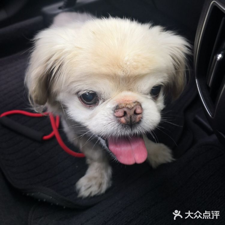 乒小乓，你想姐姐了吗？