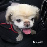 乒小乓,你想姐姐了吗?