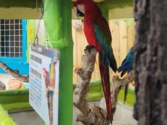 -北京野生动物园