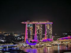 -新加坡瑞士史丹福酒店